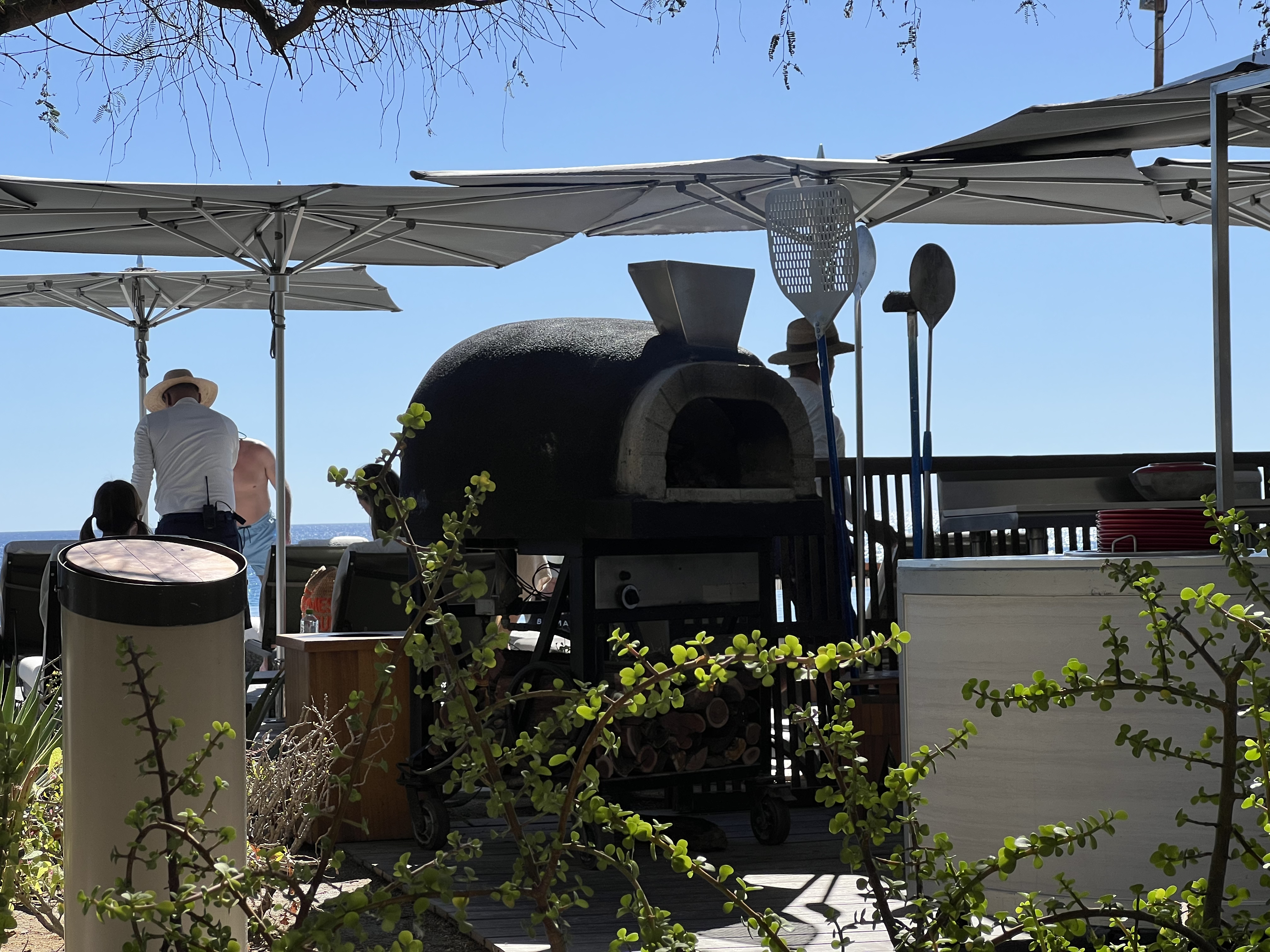 ./2024/13 - Cabo/IMG_4529.jpg